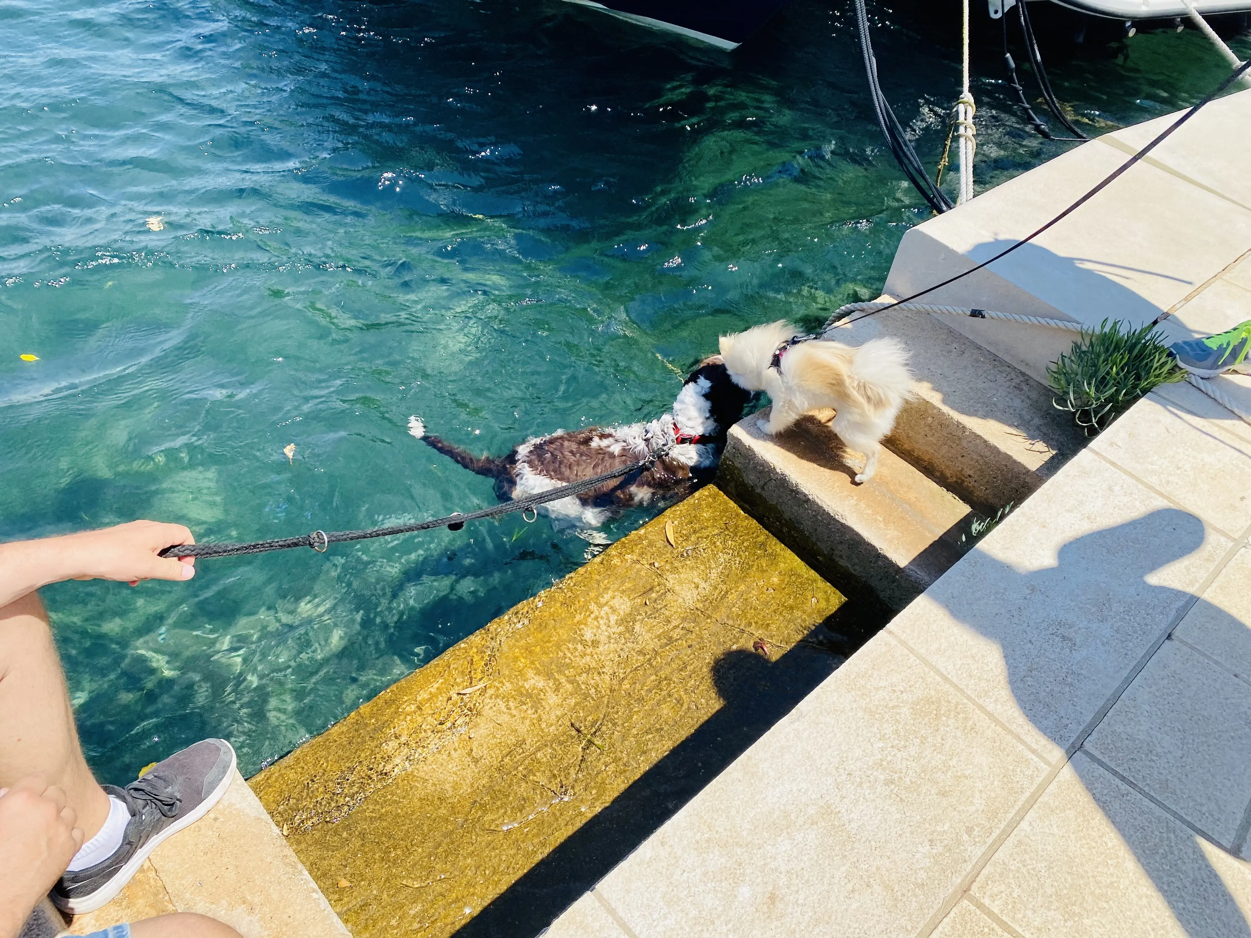 Bitte sende die ursprüngliche Beschreibung, die ich auf Deutsch umformulieren soll.